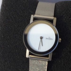 SKAGEN STEEL SLIM MESH WATCH